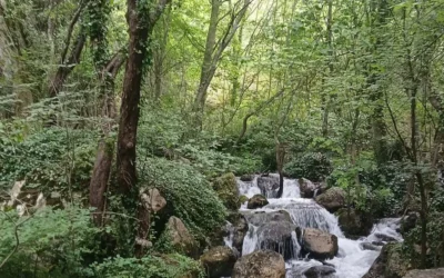 Gole del Sagittario: un canyon incredibile a due ore da Roma