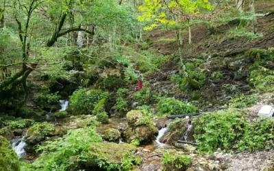 Val Fondillo: la valle nascosta d’Abruzzo tra boschi, torrenti e orsi